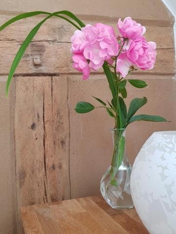 Johann 2 Apartment in Mecklenburg-Vorpommern, Germany