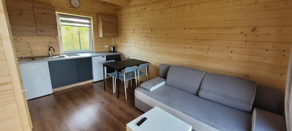 Kitchen or kitchenette, Living room, Dining area, pet friendly, stove
