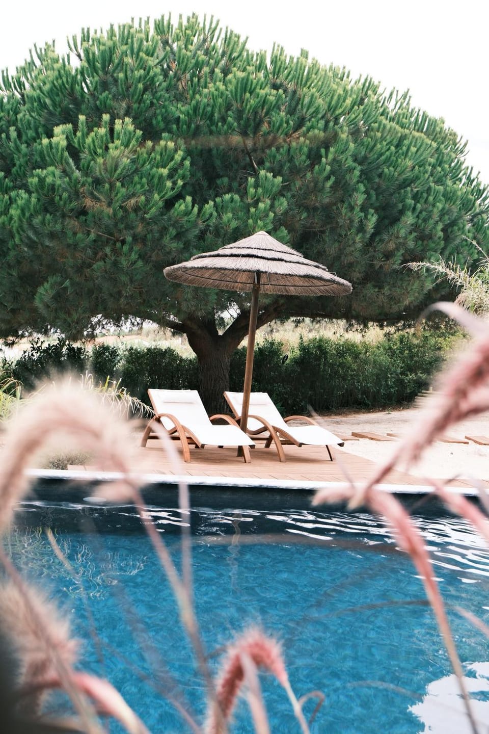 Pool view