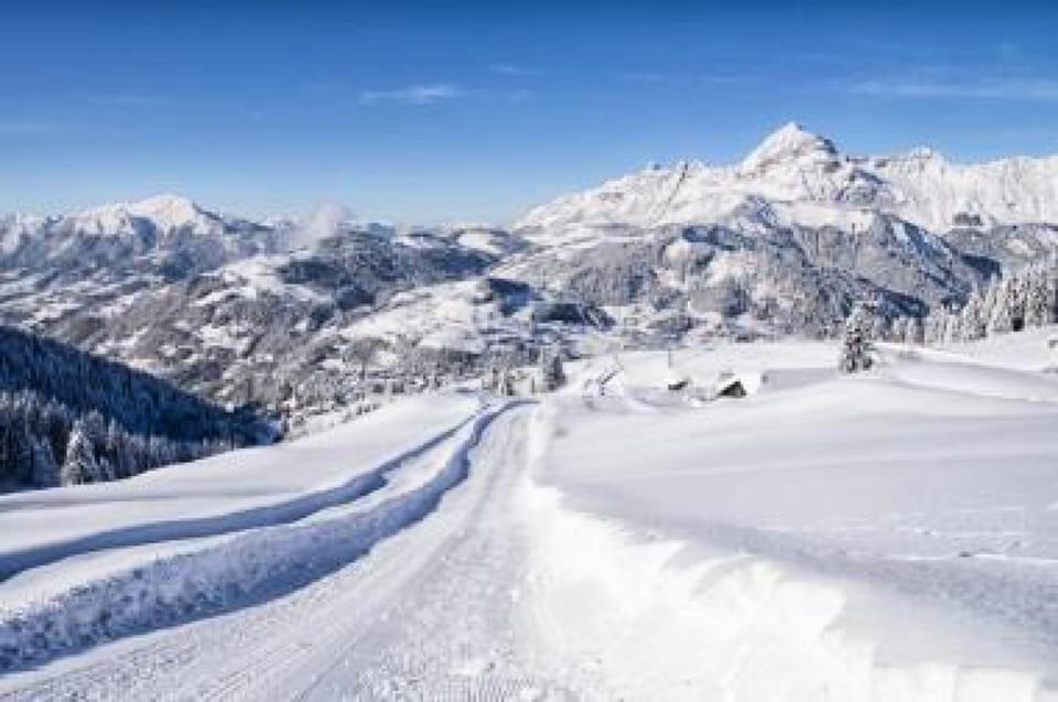 Chalet De Cassiopee - Demi chalet dans un cadre exceptionnel a côté des pistes MAE-2944 Chalet in Notre-Dame-de-Bellecombe