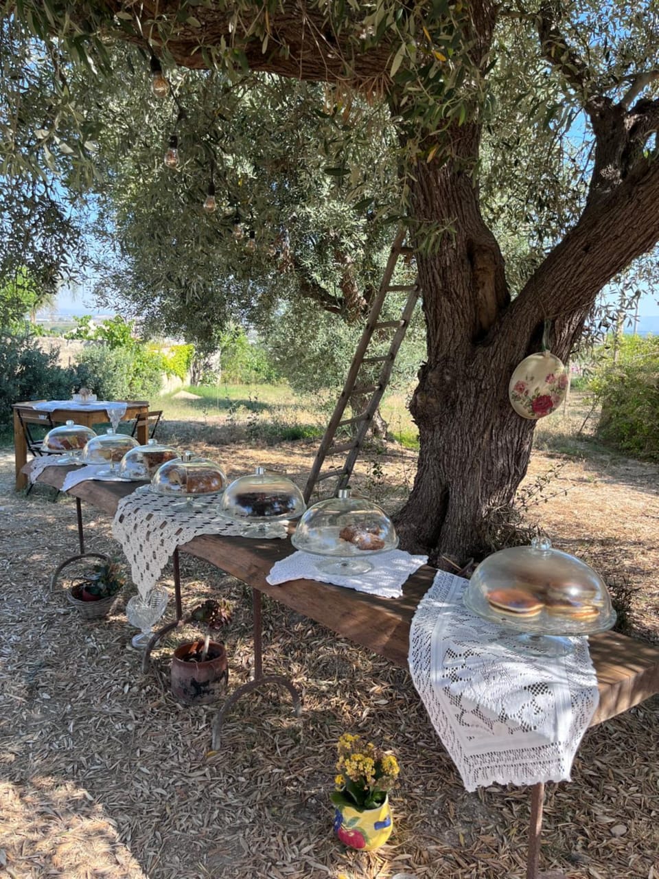 Bàcula Nzícula Marzamemi Bed and Breakfast in Sicily