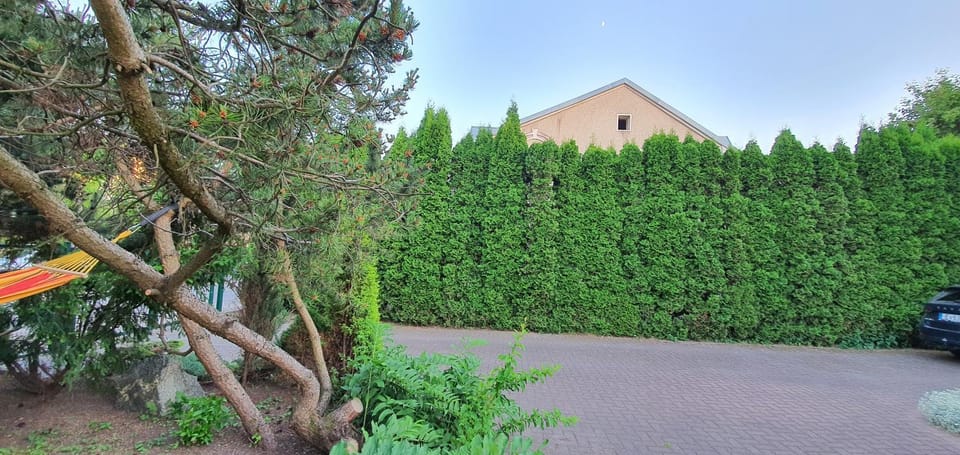 Vila Rock Bed and Breakfast in Palanga