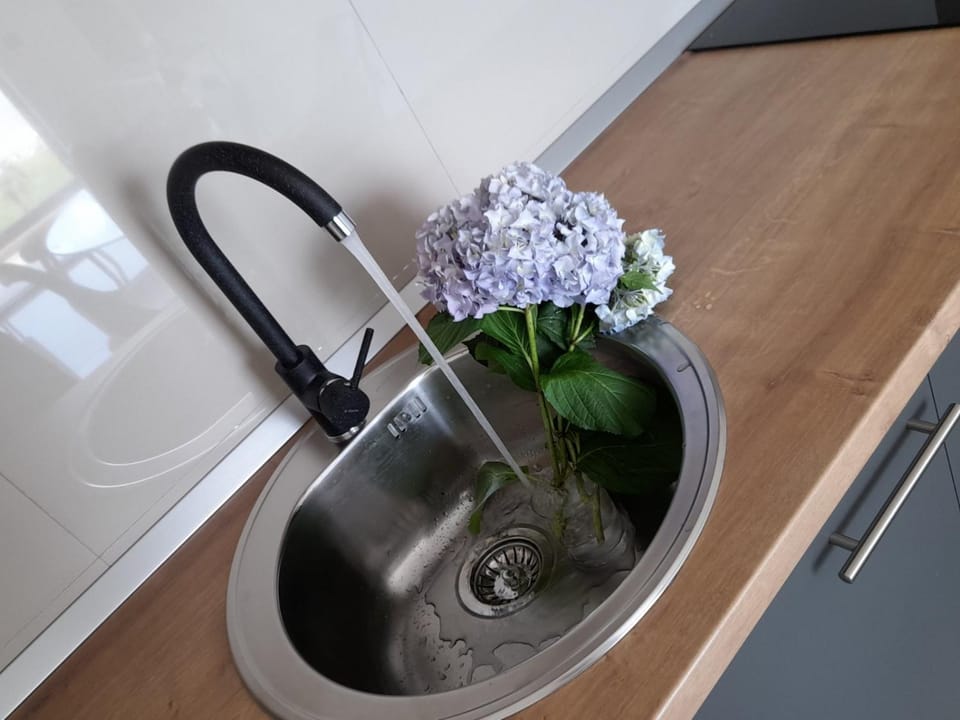 apartman_maree Apartment in Dubrovnik-Neretva County