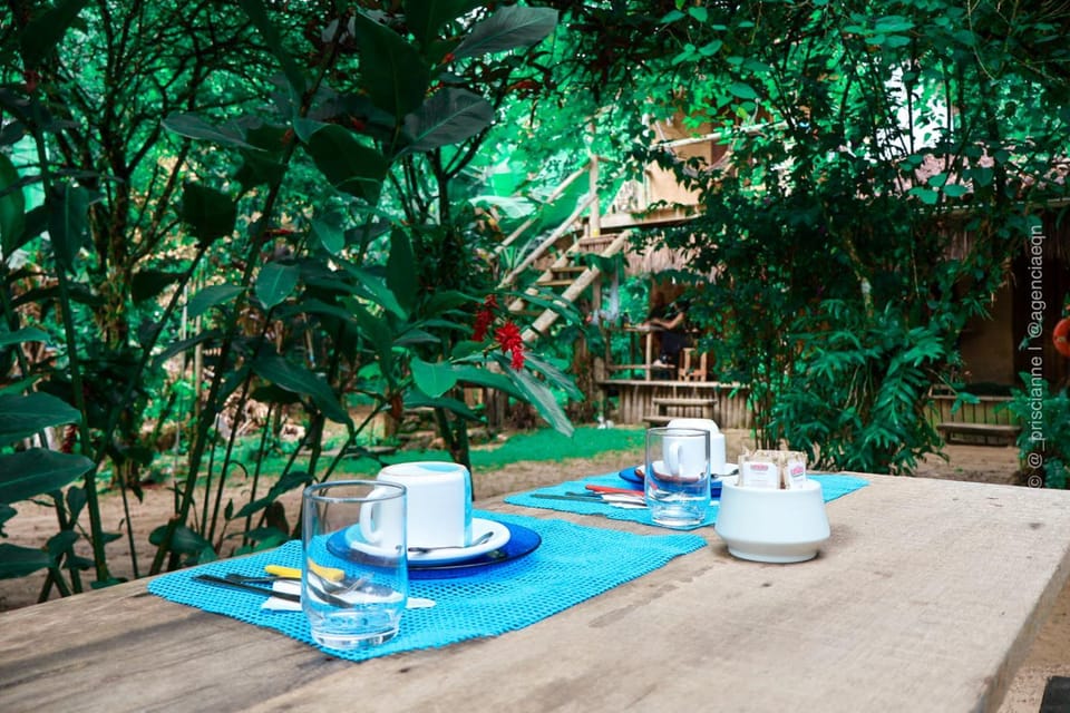Pousada Roy Bonete Inn in State of São Paulo