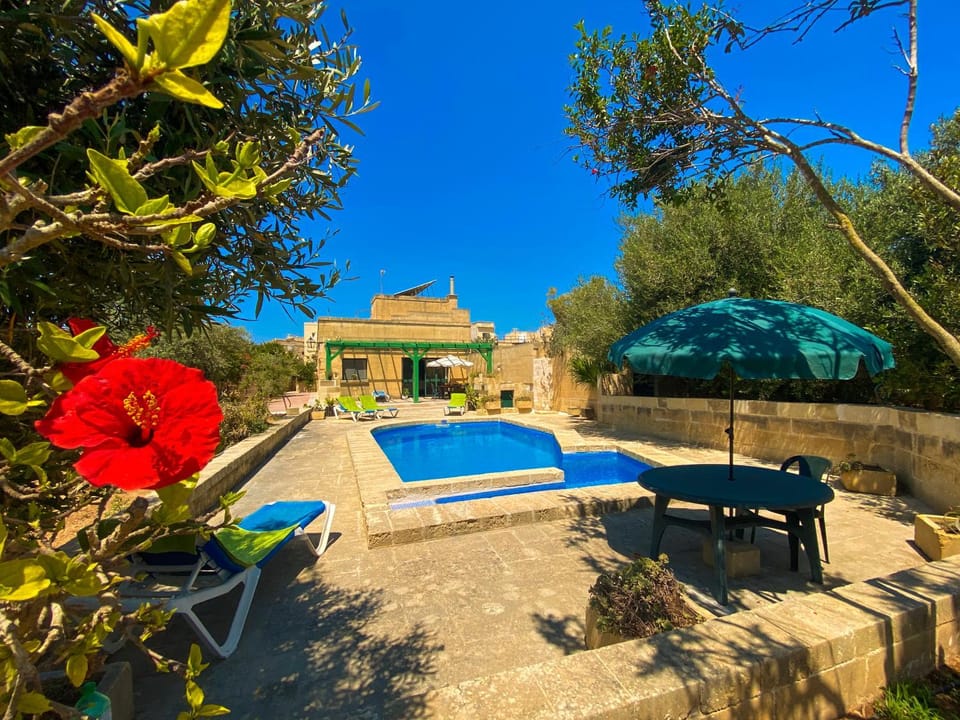 Property building, Garden, Garden view, Swimming pool