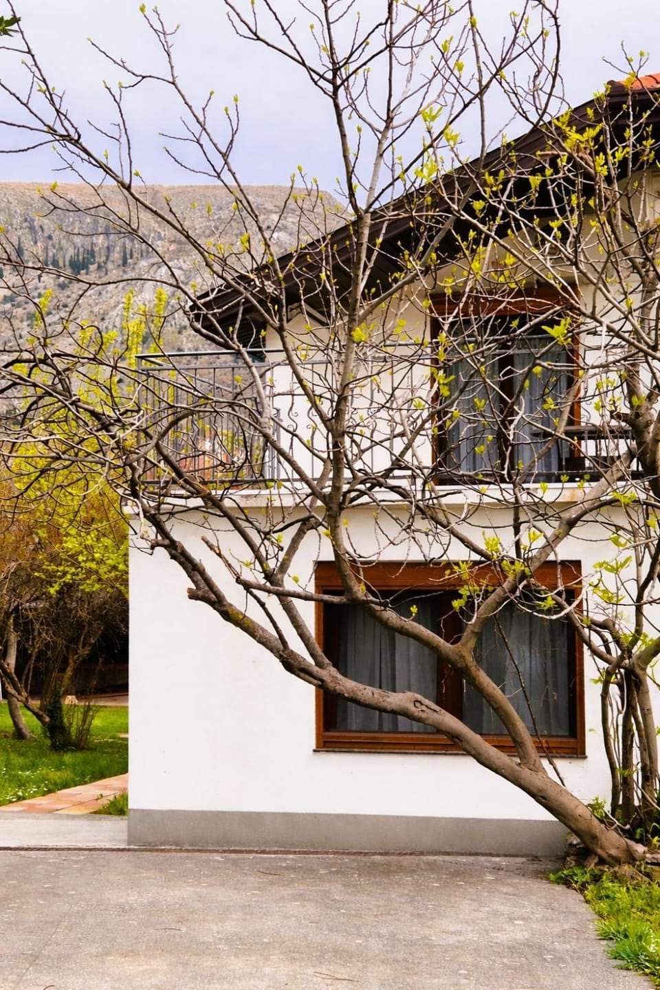 Property building, Day, Garden, Garden view
