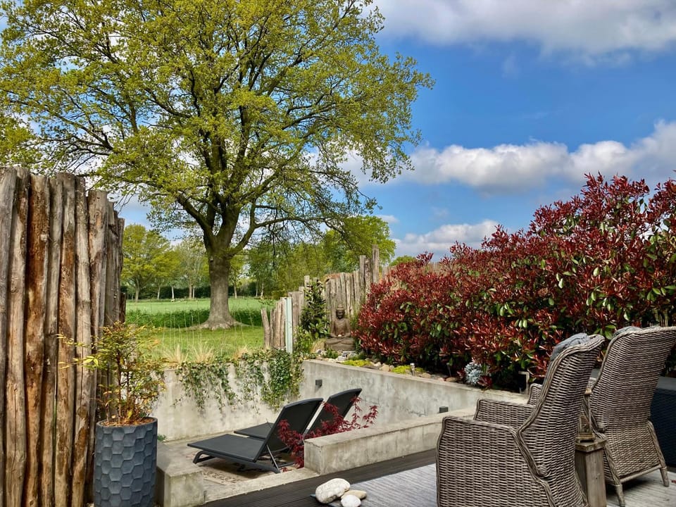 Day, Natural landscape, Garden, Garden view