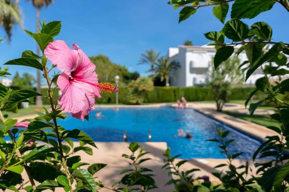 Garden view, Pool view, Swimming pool