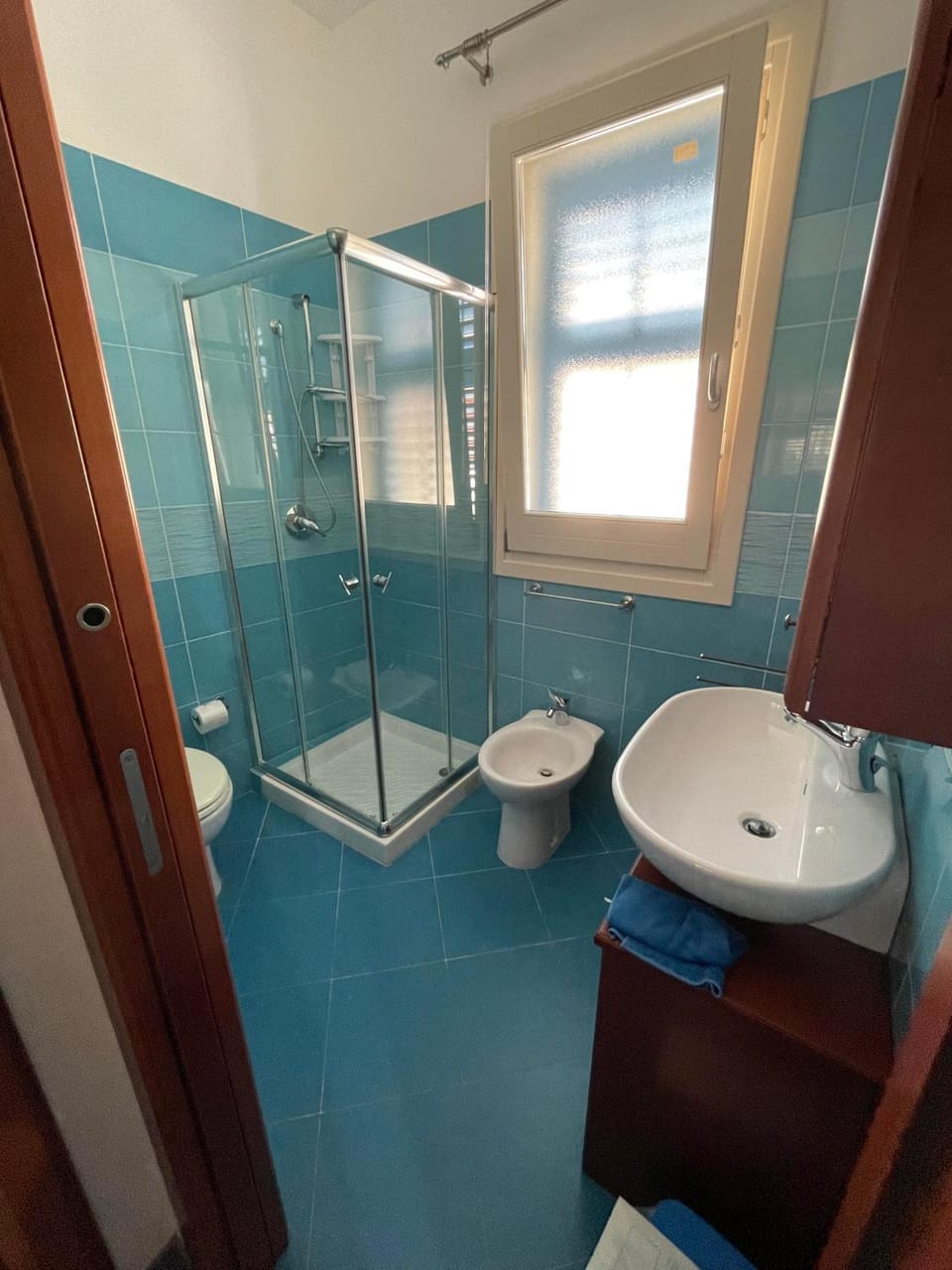 Shower, Toilet, Bathroom, bidet