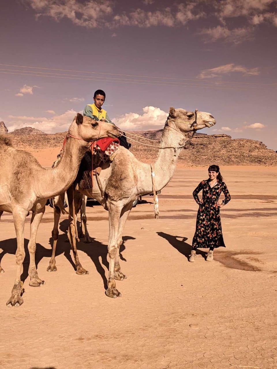 Shahrazad desert, Wadi Rum Luxury tent in Africa