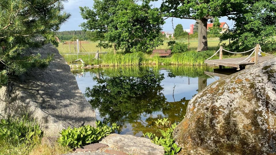 Garden, Beach, Swimming pool