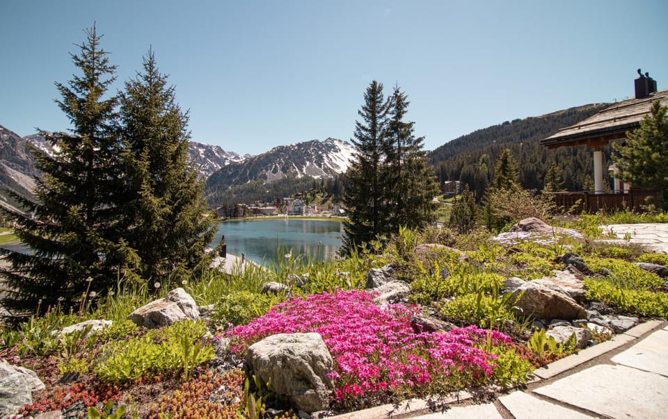 Natural landscape, Garden, Mountain view