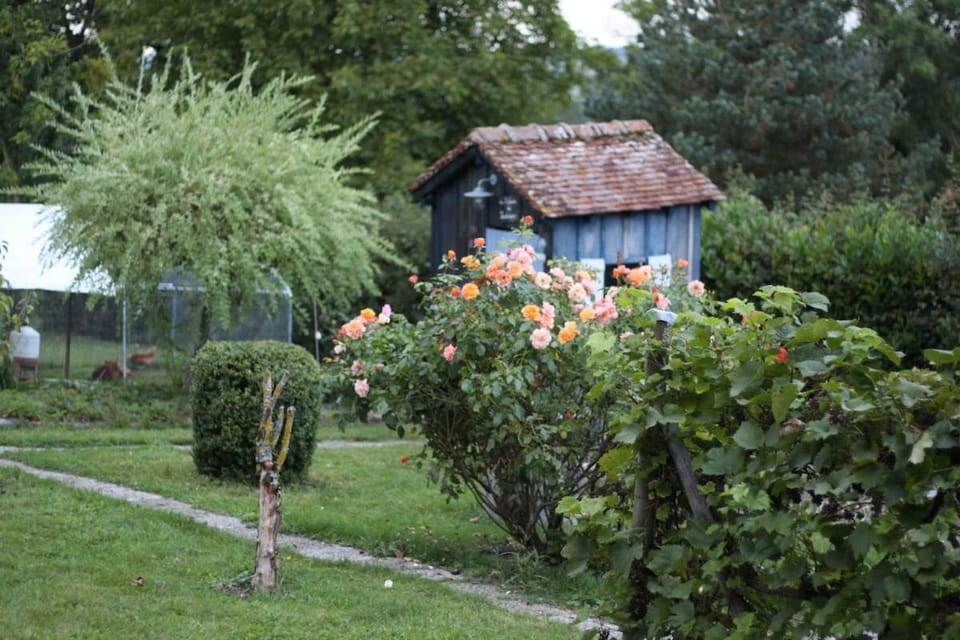 Gîte le Pilon House in Grand Est