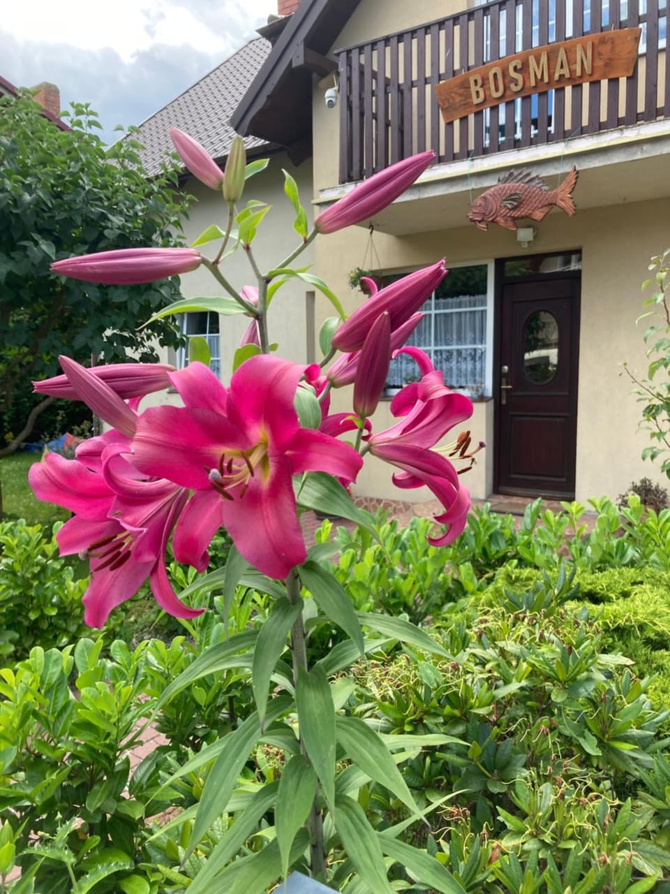 Nasz Bosman Vacation rental in Pomeranian Voivodeship
