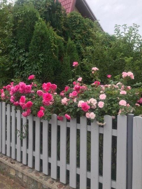 Nasz Bosman Vacation rental in Pomeranian Voivodeship