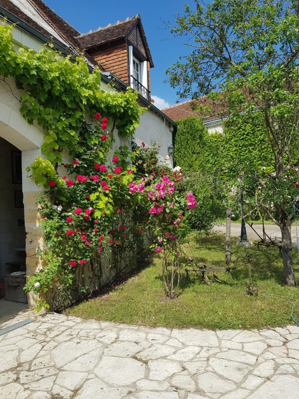 Chenonceau Amboise équitation beauval Bed and Breakfast in Centre-Val de Loire