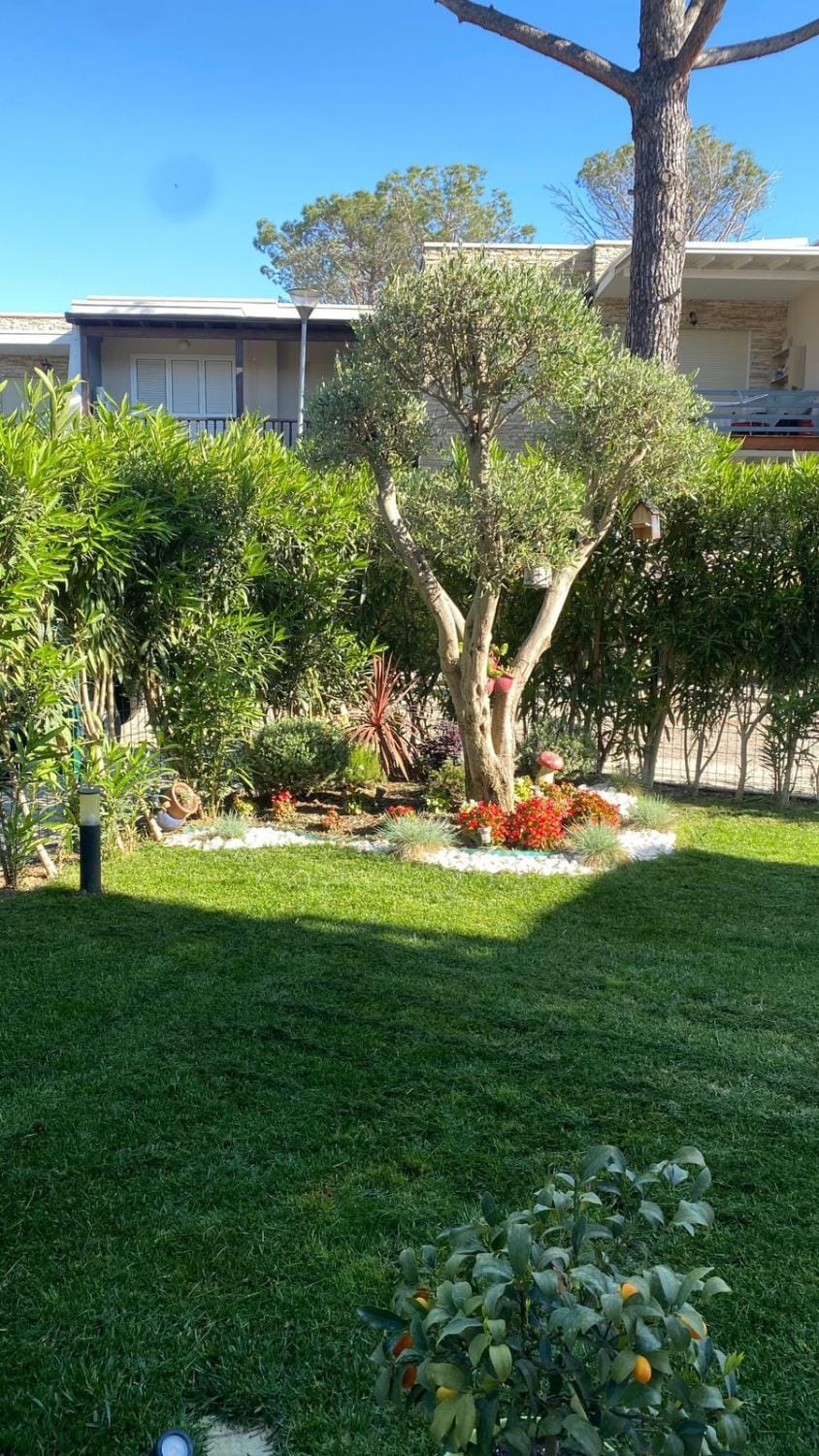 Day, Garden, Garden view