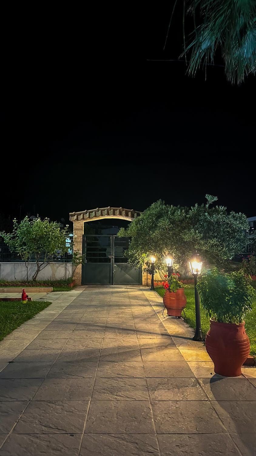 Property building, Night, Garden, Garden view