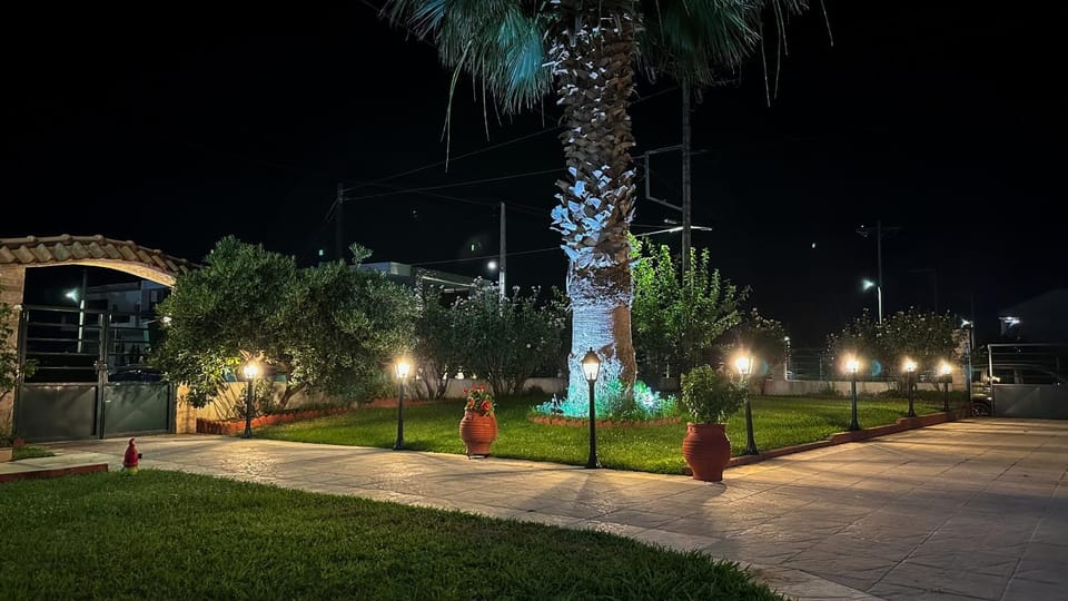 Night, Natural landscape, Garden, Garden view