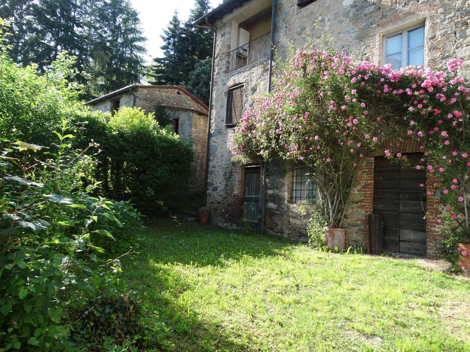Property building, Facade/entrance, Garden