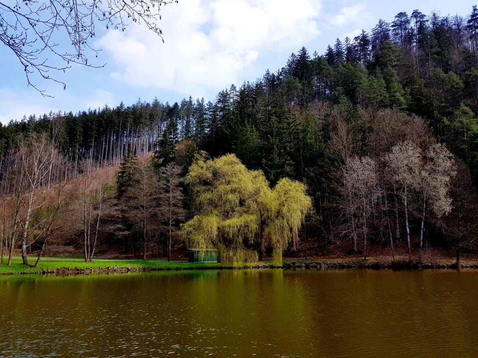 Off site, Natural landscape, Hiking, Lake view