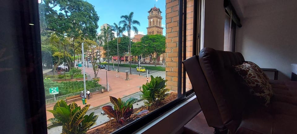 Garden view