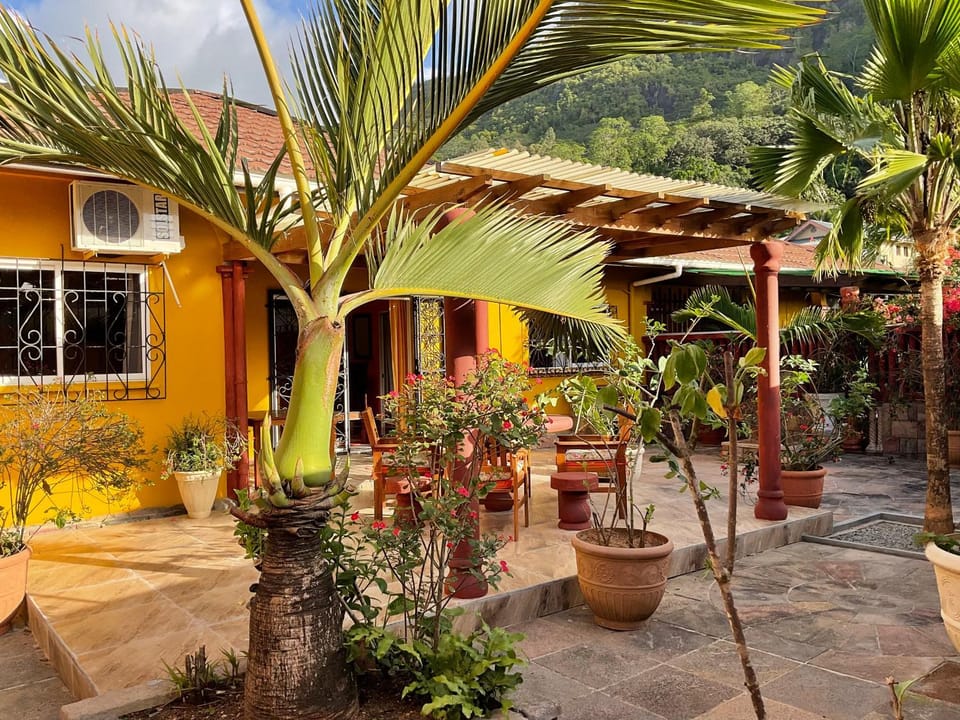 Patio, Garden, Garden view