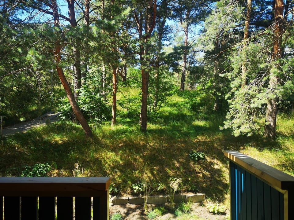 Miško studija Apartment in Klaipėda County, Lithuania