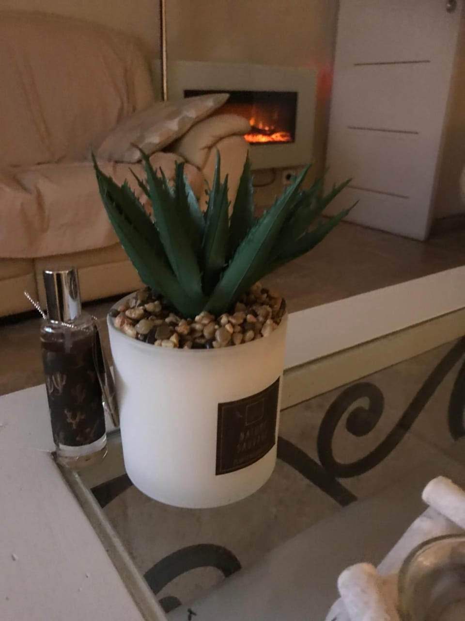 Le jardin Apartment in Aix-en-Provence