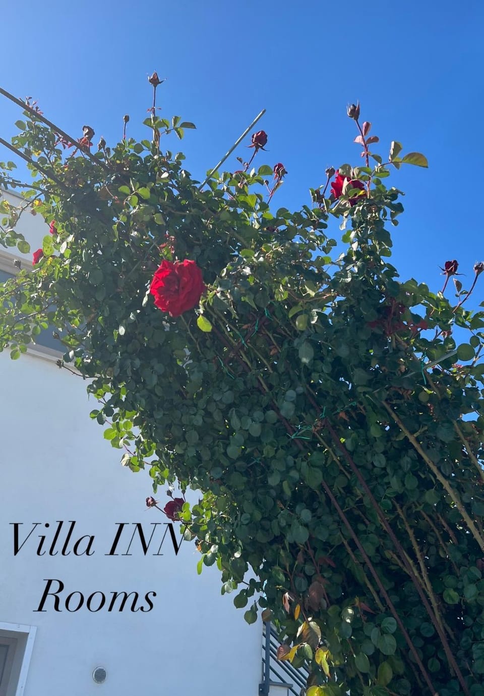 Villa INN Bed and Breakfast in Sardinia