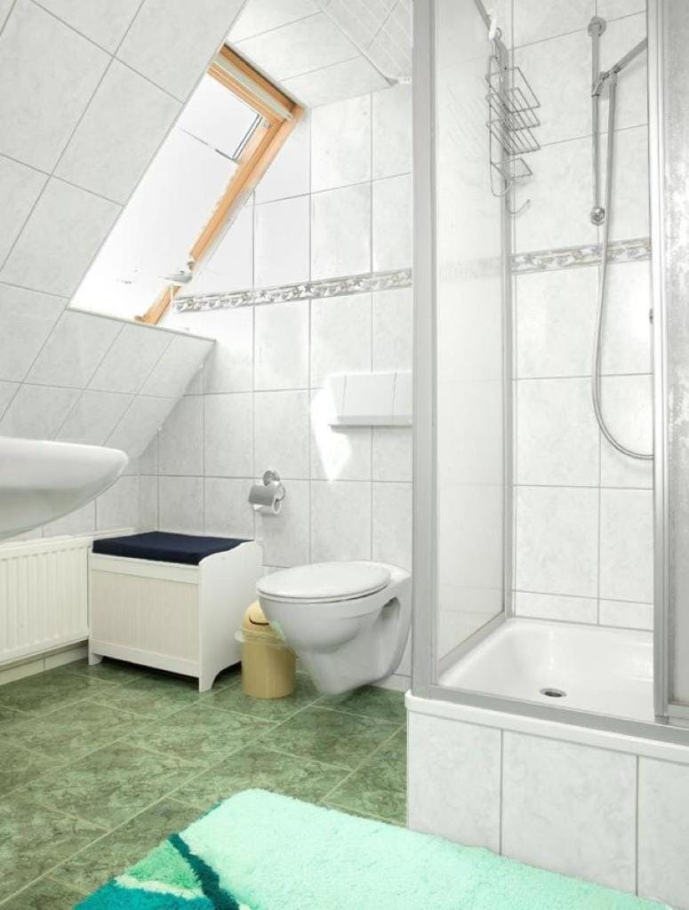 Shower, Toilet