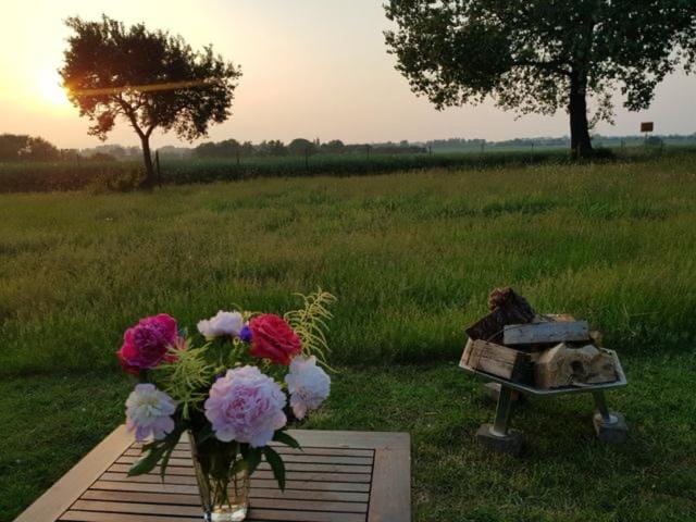 Natural landscape, Garden view, Sunset