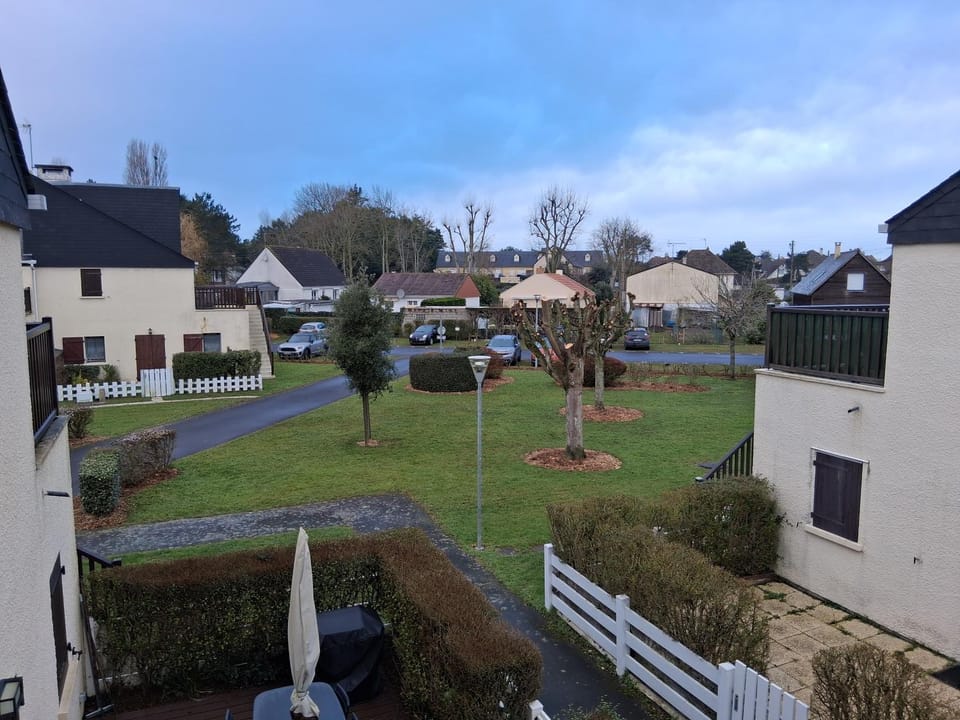 Neighbourhood, Natural landscape, Garden, Garden view