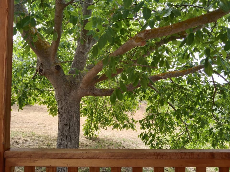 Natural landscape, Garden