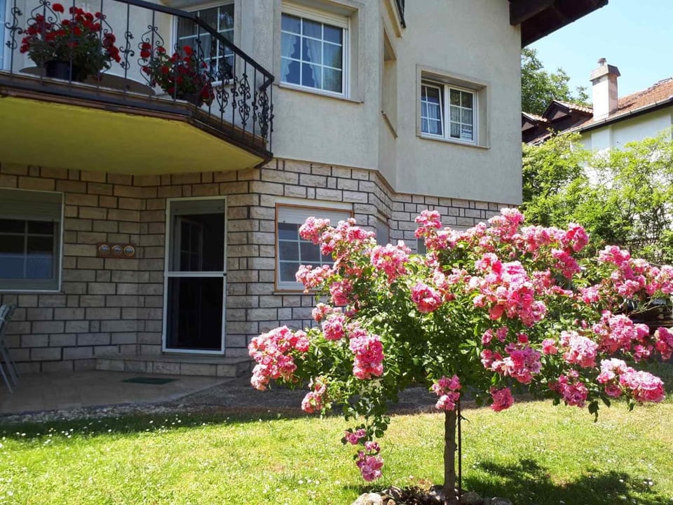 The Pearl of the Danube Bend - Regina Apartman Apartment in Slovakia