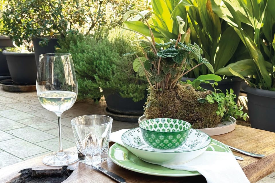 Garden