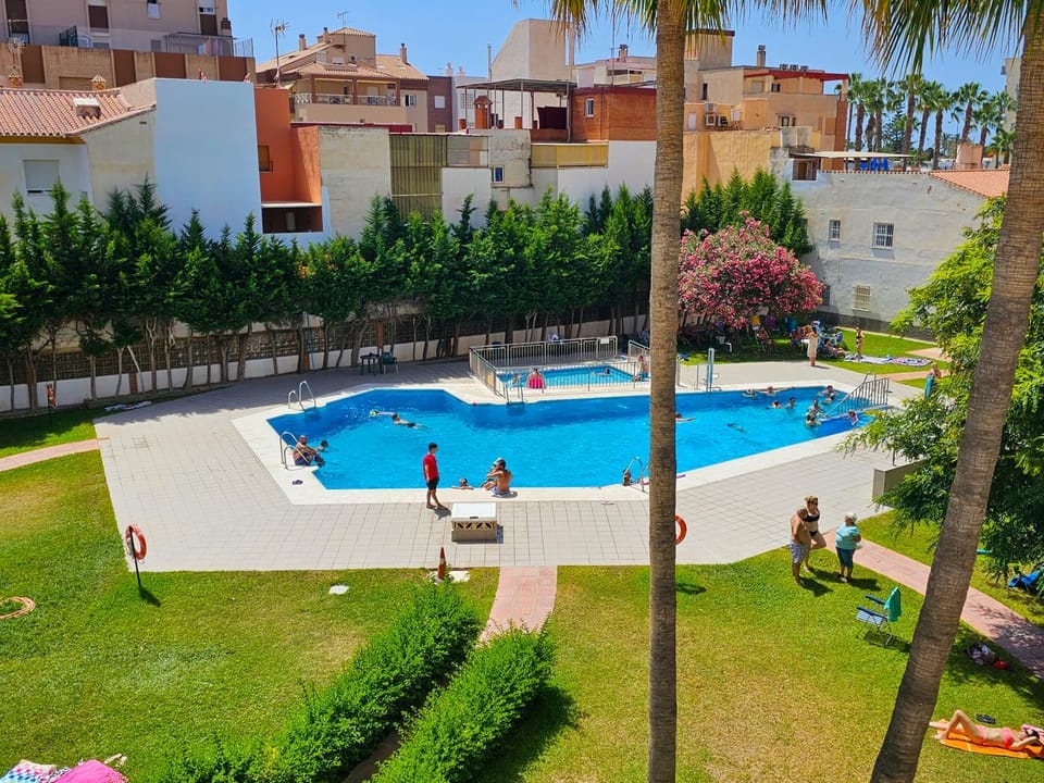 Day, Garden, Swimming pool