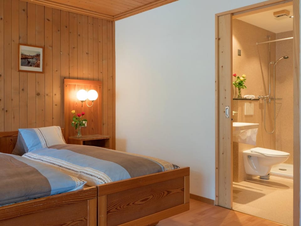 Shower, Toilet, Bed, Photo of the whole room, Bedroom