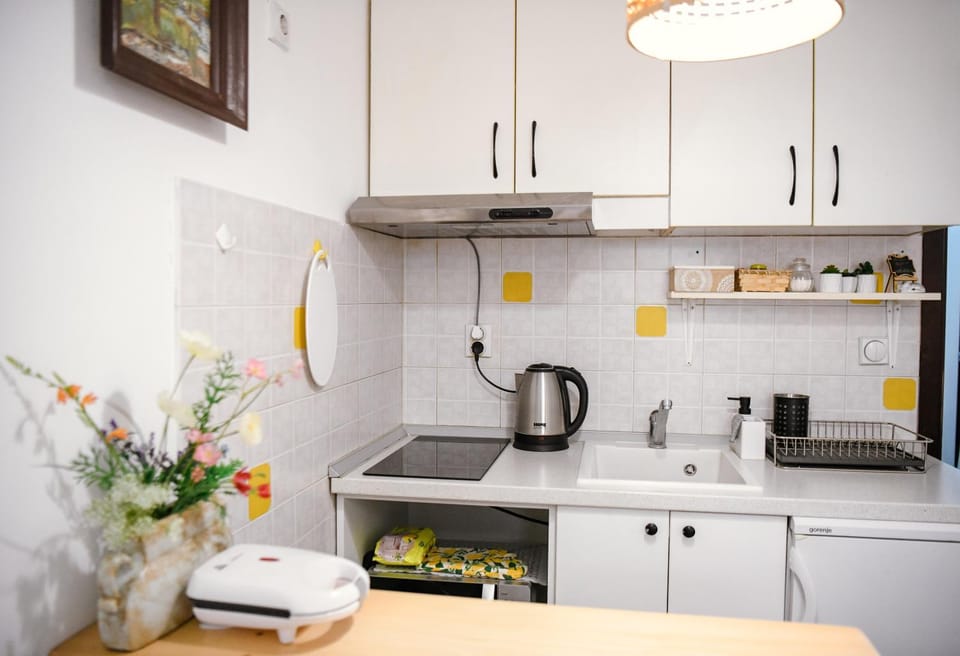 Coffee/tea facilities, minibar, stove, toaster