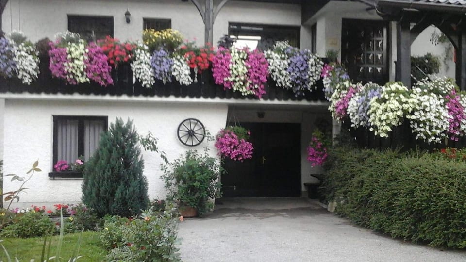 Apartma in sobe Tanja Apartment in Slovenia