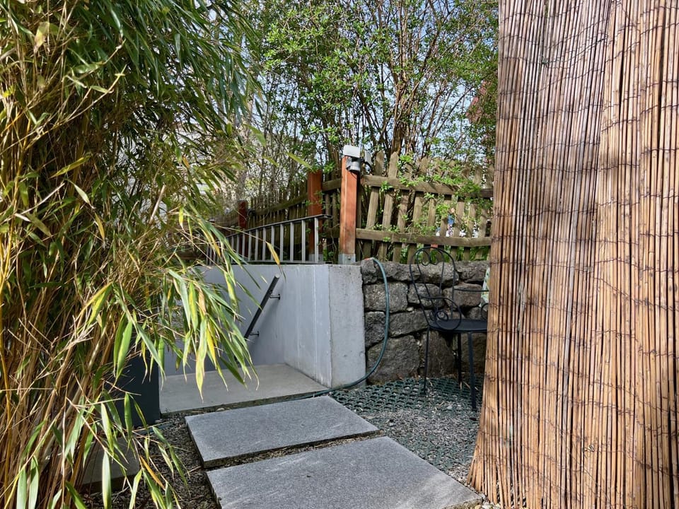 Spring, Day, Garden, Garden view