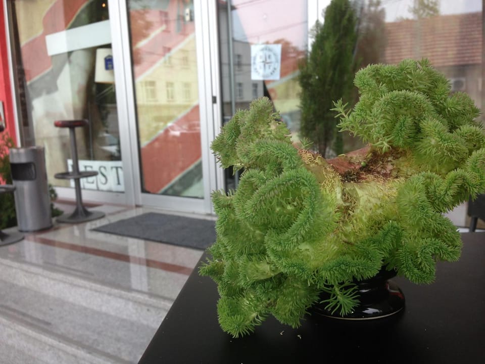 Patio, Facade/entrance, Facade/entrance, People, Balcony/Terrace