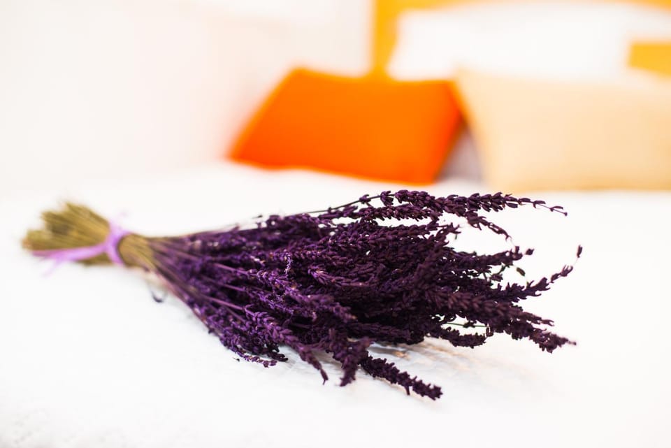 Hotel ROIG Hotel in Valencian Community