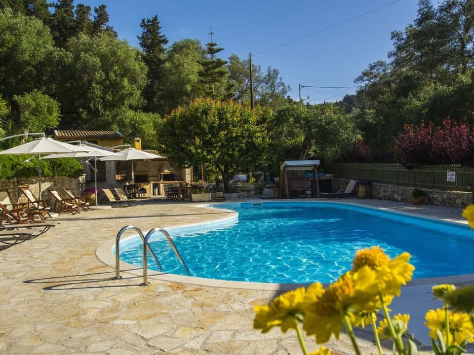 Natural landscape, Garden, Garden view, Pool view, Swimming pool, sunbed