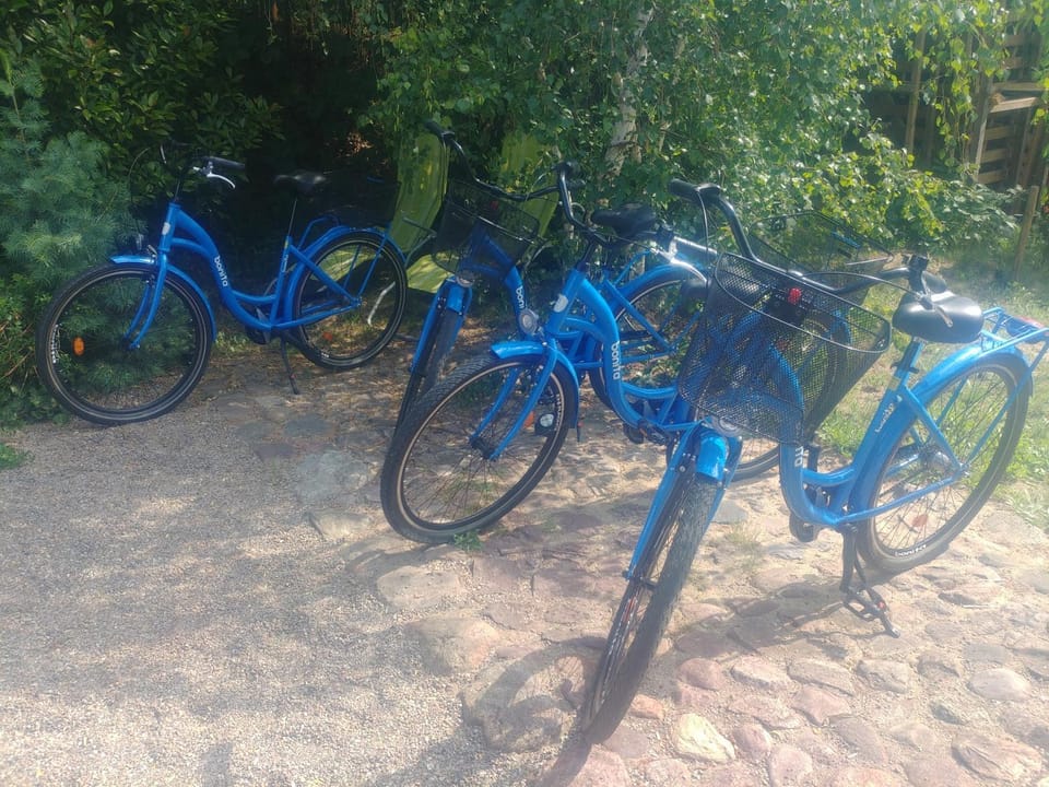 Garden, Cycling