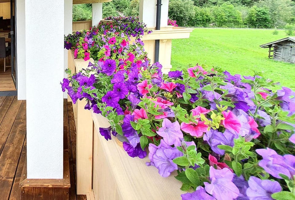 Garden, Balcony/Terrace
