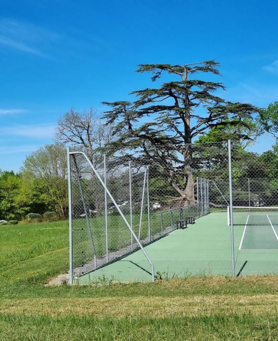 Natural landscape, Garden, Tennis court