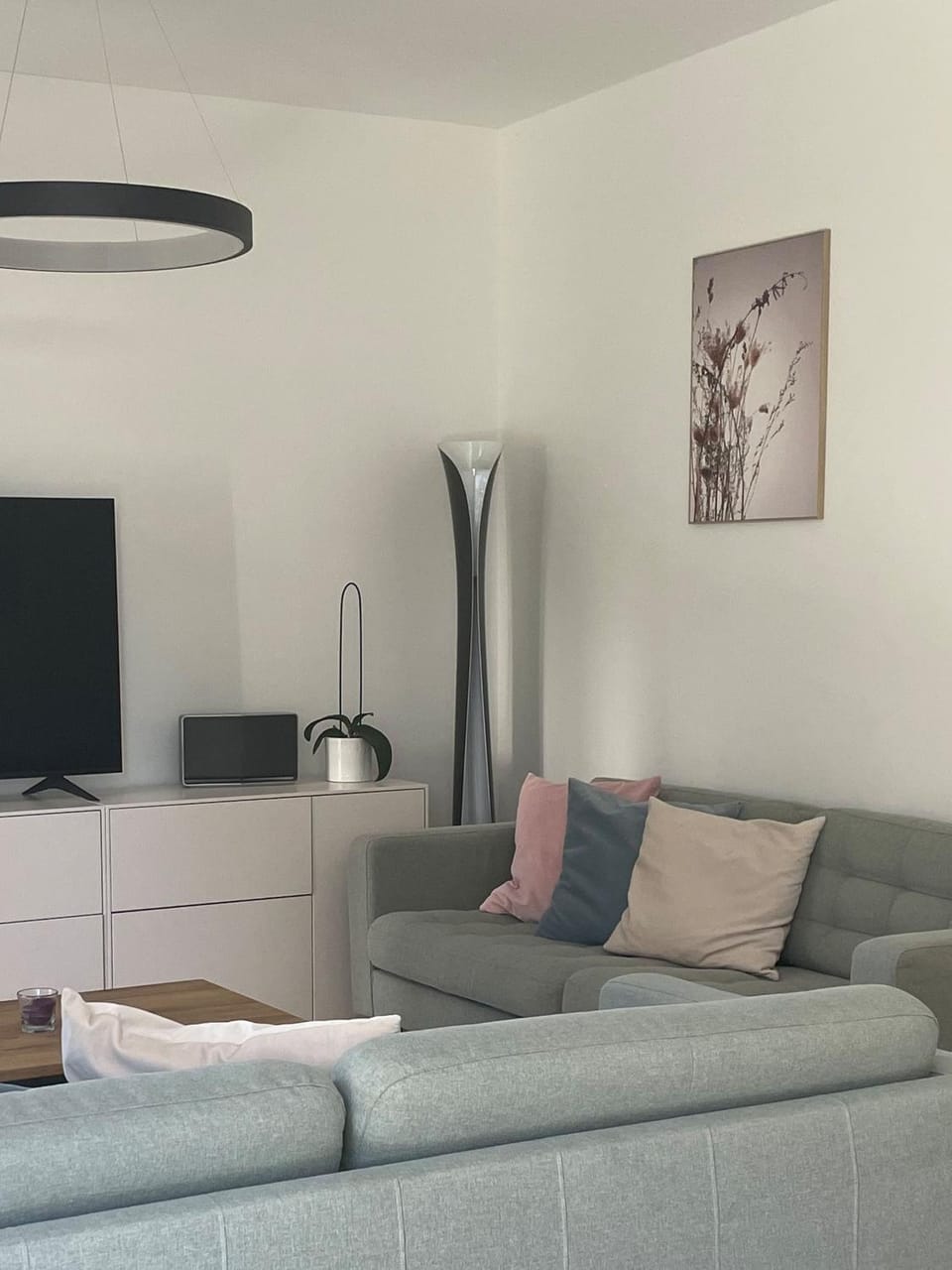 TV and multimedia, Living room