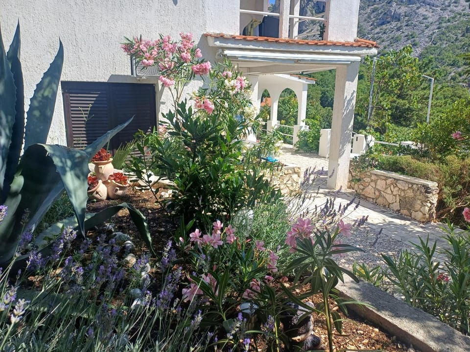 Apartment Lili Apartment in Lika-Senj County