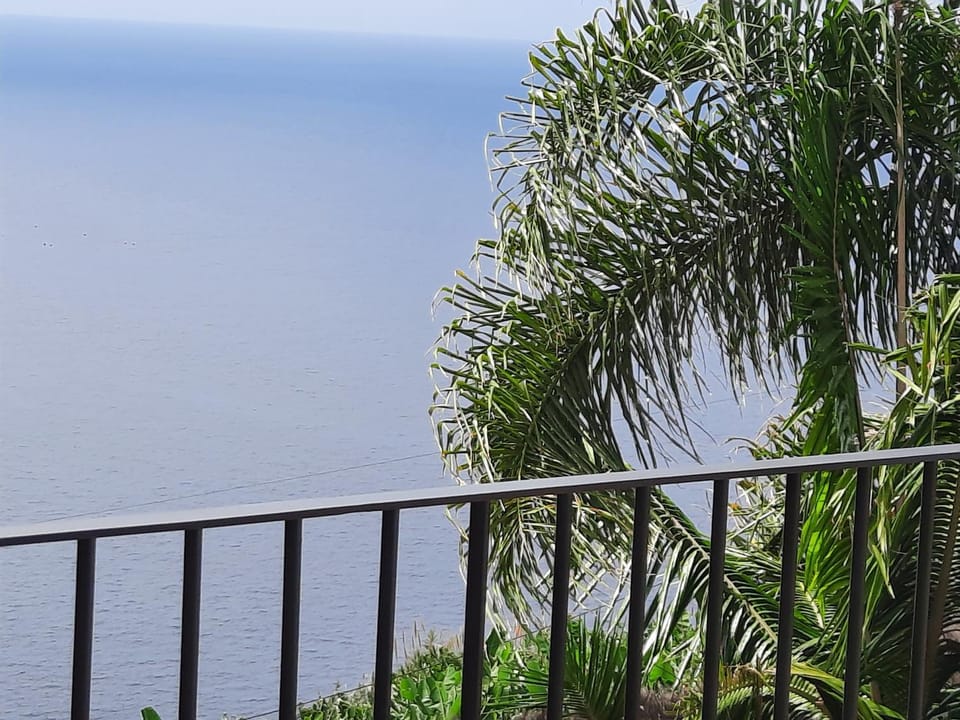 Zeza´s Sky Apartment in Madeira District